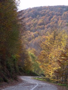 Ivanjica1
